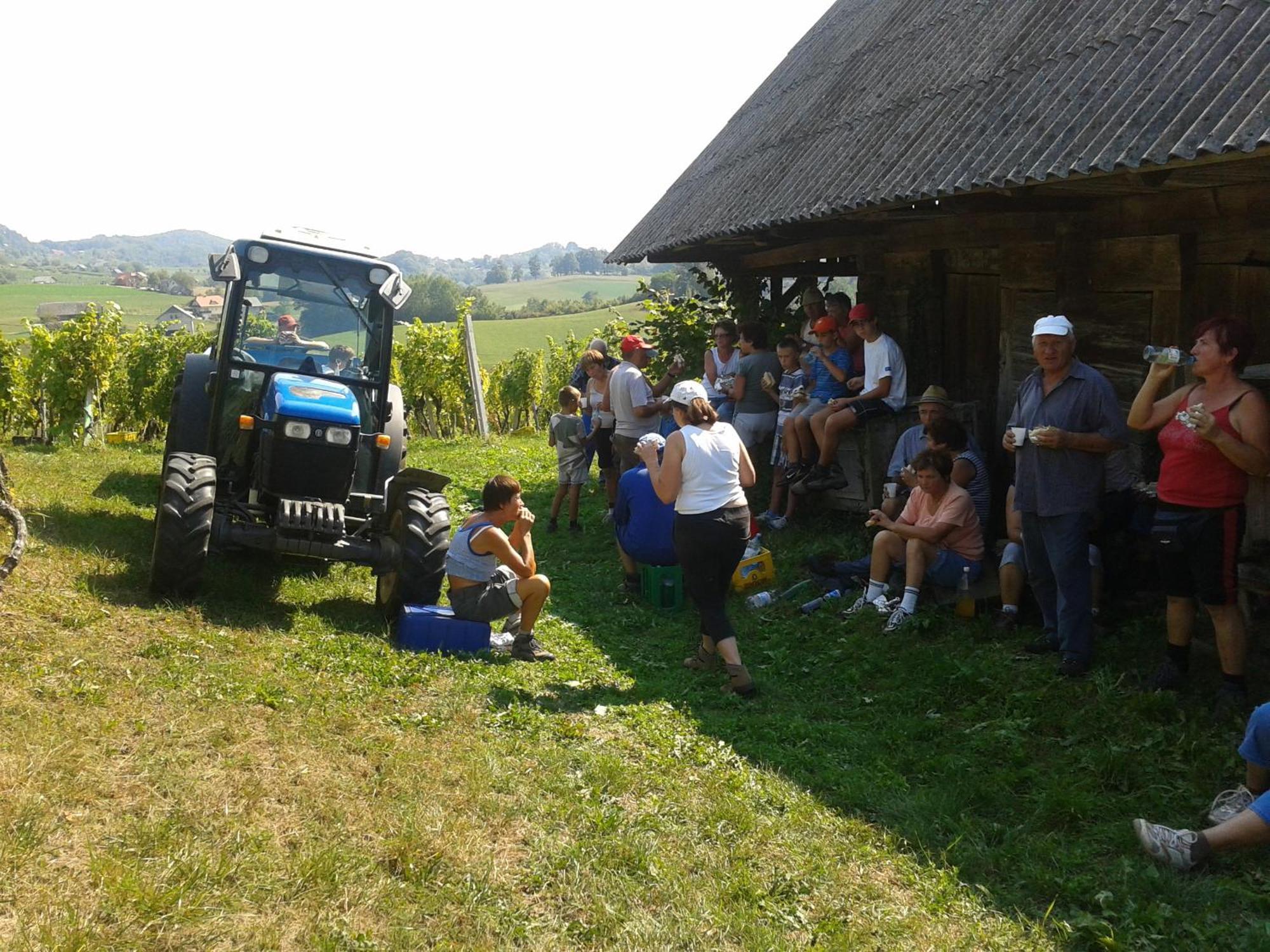 Grobelnik Tourist Farm Villa Sevnica ภายนอก รูปภาพ